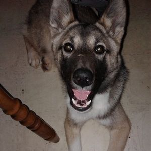 Meet your Posher, Sheena